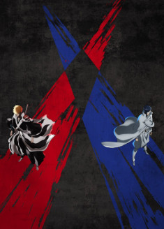 BLEACH: Thousand-Year Blood War - The Separation