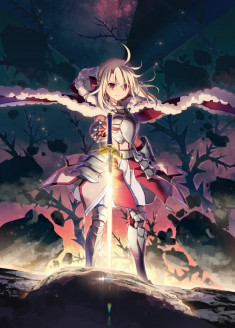 Fate/kaleid liner Prisma☆Illya: Licht Nameless Girl