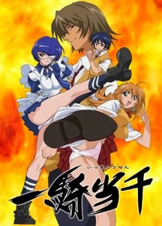 Battle Vixens: Ikki Tousen