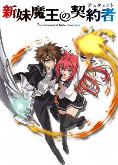 Shinmai Maou no Testament: Loli Ero Succubus Maria no Characommentary Tsuki Hizou Eizou